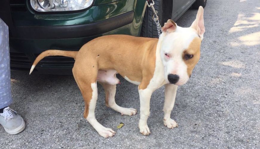 ΖΗΤΑΜΕ ΟΙΚΟΝΟΜΙΚΗ «ΣΤΗΡΙΞΗ» ΓΙΑ ΤΟΝ ΜΠΟΛΕΚ.