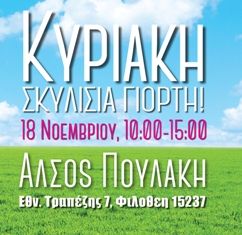 Γιορτή υιοθεσίας αδέσποτων Δήμου Φιλοθέης – Ψυχικού