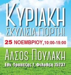 Κυριακή 25/11/18, Σκυλίσια Γιορτή